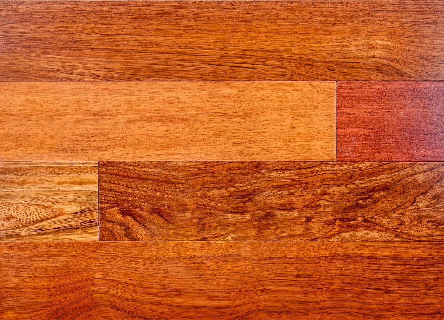 Jatoba